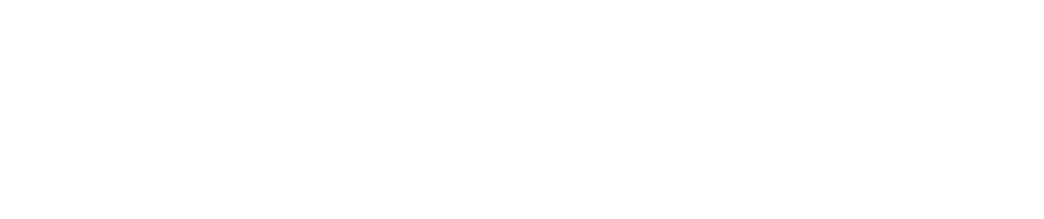 СЕНСЭЙР